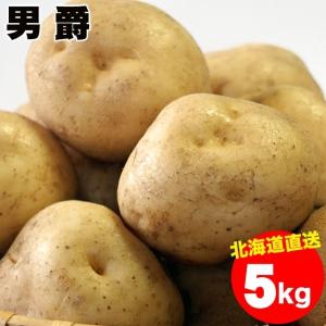 出荷開始中 越冬じゃがいも  北海道産 男爵薯(Mサイズ以上)