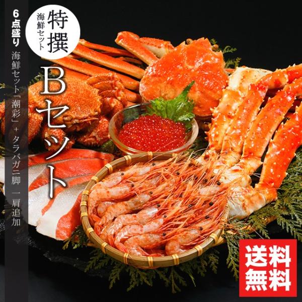 父の日 2024 海鮮 ギフト かに カニ 送料無料 特撰 海鮮セットB / 内祝い お返し 北海道...