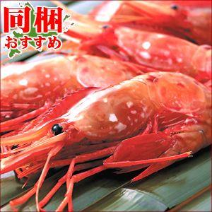 北海道産 刺身用ボタンエビ 約250g 海老 エビ えび 刺身 海鮮 直送 牡丹海老 牡丹エビ 生食 冷凍 直送 お取り寄せ Yuni N Botanebi 250g ギフト グルメ北海道 通販 Yahoo ショッピング