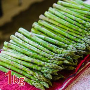 北海道石狩郡当別町 織田さんちのグリーンアスパラガス1kg（40本前後・M〜2Lサイズ）
