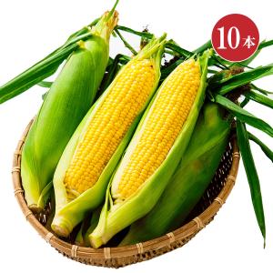 【今季販売終了】笹崎さんちのとうもろこし 恵味ゴールド 1箱 10本入り 約5.5kg 送料無料 送料込 同梱不可 ☆8月中旬より収穫次第、順次発送予定