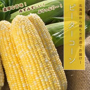 【予約】ピーターコーン 10本 北海道産 とう...の詳細画像1