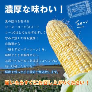 【予約】ピーターコーン 10本 北海道産 とう...の詳細画像2