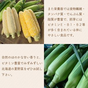 【予約】ピーターコーン 10本 北海道産 とう...の詳細画像4
