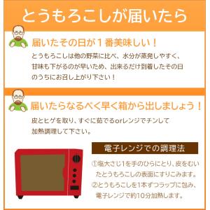 【予約】ピーターコーン 10本 北海道産 とう...の詳細画像5