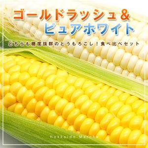 【予約】とうもろこし ゴールドラッシュ6本+ ...の詳細画像1