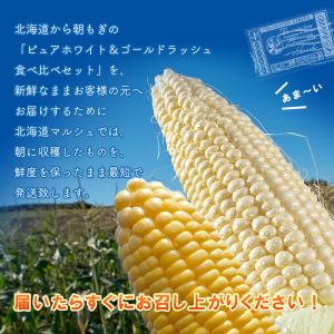 【予約】とうもろこし ゴールドラッシュ6本+ ...の詳細画像2