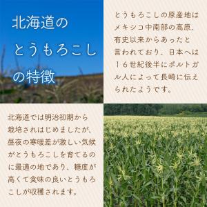 【予約】とうもろこし ゴールドラッシュ6本+ ...の詳細画像5