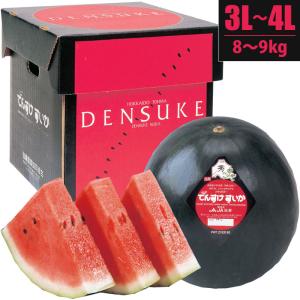 予約】でんすけすいか（秀品）5L／10kg 1玉 通販 スイカ 北海道産 黒
