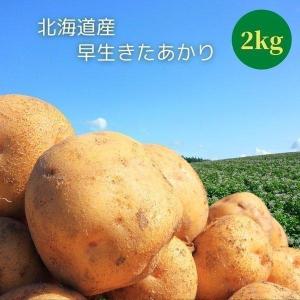 【予約】 じゃがいも ジャガイモ 早生きたあかり L 2kg きたあかり 北海道  北あかり キタアカリ