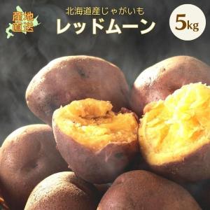 じゃがいも ジャガイモ レッドムーン 5kg 正品・LM/L/2L混 （越冬じゃがいも） 野菜 北海道産 お礼 御祝 産直 内祝 ジャガイモ 北海道ギフト