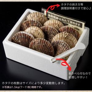 ホタテ 活ホタテ(3〜4年貝)2.5kg(13...の詳細画像2