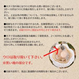 ホタテ 活ホタテ(3〜4年貝)2.5kg(13...の詳細画像4