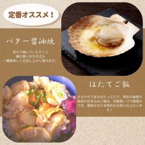 ホタテ 活ホタテ(3〜4年貝)2.5kg(13...の詳細画像5