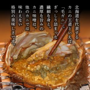 毛ガニ 800g×1尾 北海道 カニ 毛蟹 蟹...の詳細画像2