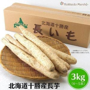 長芋3kg 4本〜5本 栄養豊富な長芋 北海道長いも お取り寄せ 十勝産 道産野菜 内祝 お祝 お礼 北海道冬野菜 お歳暮 御歳暮 御年始 クリスマス