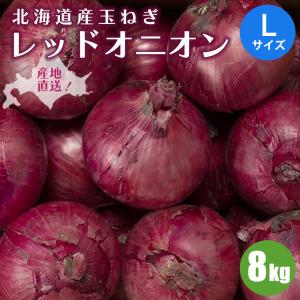 紫玉ねぎ（L〜L大）10Kg 北海道産 赤玉ねぎ レッドオニオン 出荷時期
