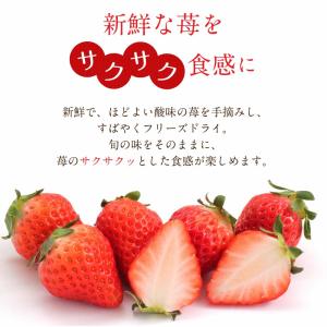 六花亭 ストロベリーチョコ ホワイト 箱入(1...の詳細画像2