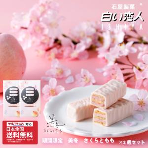 美冬 さくらともも 6個入x2個 セット  石屋製菓 桜 北海道
