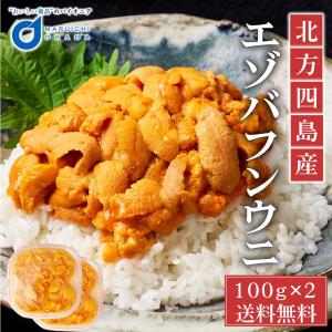 うに ウニ 訳あり 塩水うに 100gx2パック 北方四島産  冷蔵