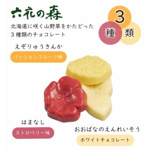 六花亭 六花の森 チョコレート 12枚入 × ...の詳細画像1
