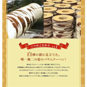 柳月 三方六 プレーン 1本 北海道 バームク...の詳細画像3