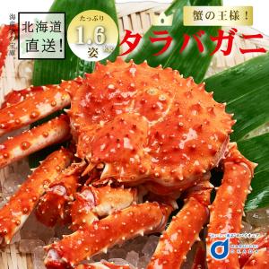 送料無料 たらばがに 姿 1.6kg前後 北海道 たらばがに taraba たらば カニ かに 海鮮ギフト かに鍋 札幌場 爆買