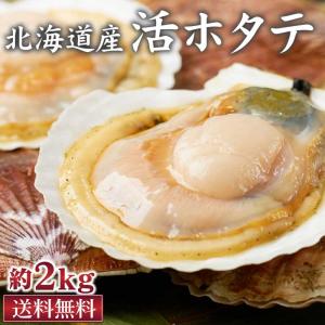 北海道産 活ホタテ 約2kg 北海道 支援 産地 直送 生 帆立 ほたて 天然 刺身 殻付き BBQ 生食OK ギフト プ 爆買 お中元 夏ギフト