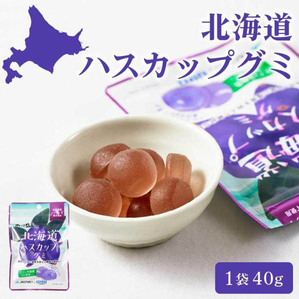 カネカ食品 北海道ハスカップグミ 【40g × 1袋】 果汁グミ ラブレ乳酸菌入り 北海道限定 ご当...