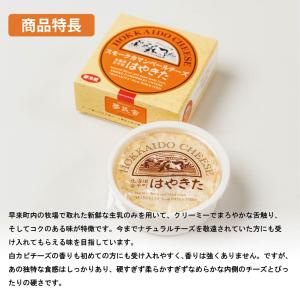夢民舎 スモークカマンベールチーズ はやきた ...の詳細画像1
