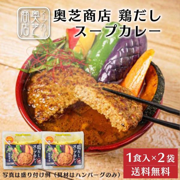 奥芝商店 鶏だしスープカレー【1人前 300g】× 2袋セット ハンバーグ 冷凍カレー 冷凍 北海道...