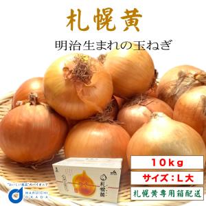 送料無料 北海道産 たまねぎ 札幌黄 10kg (L大) 北海道 玉ねぎ タマネギ 収穫祭 JAさっぽろ キッチン 季節野 爆買 母の日