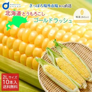 とうもろこし トウモロコシ 北海道 ゴールドラッシュ