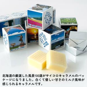 道南食品 北海道百景サイコロキャラメル 1本 ...の詳細画像2