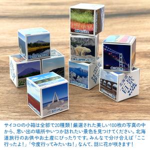 道南食品 北海道百景サイコロキャラメル 1本 ...の詳細画像3