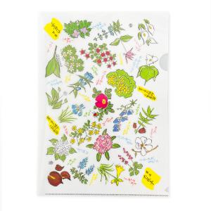 六花亭 花柄クリアファイル　　ギフト プチギフト 雑貨 誕生日 グッズ お祝い プレゼント メール便OK 文房具 文具