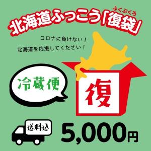 北海道ふっこう復袋 5,000円 （冷蔵便） 送料込み 福袋 日本ふっこうプロジェクト 北海道 復興 フードロス