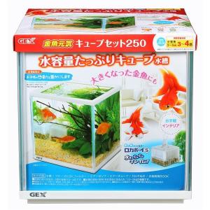 金魚 水槽の商品一覧 通販 Yahoo ショッピング