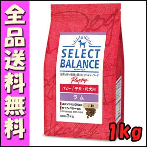 ベッツ・チョイス・ジャパン セレクトバランス ラム パピー 小粒 子犬