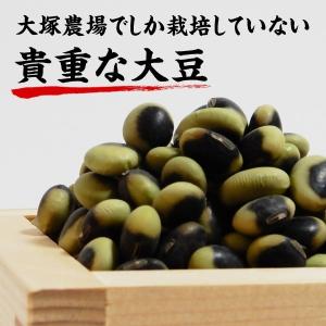 納豆 まぼろしの納豆 10パック 大粒 たっぷ...の詳細画像3