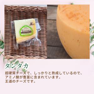 チーズ 白糠酪恵舎 お酒に合うチーズセット ぴ...の詳細画像2
