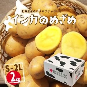 北海道産 インカのめざめ [越冬じゃがいも(食用)] 北海道産 S/M/LM/L/2L混 2kg 熨斗対応可｜送料無料 食べ物 ギフト