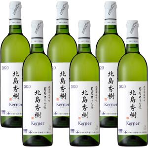 北海道ワイン 道内限定販売 道民ワイン 赤 やや辛口 720ml 応援 お