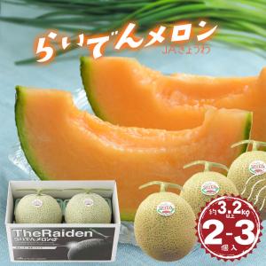 【約3.2kg／予約】2023年8月上〜下旬発送予定【送料込】らいでんメロン (2〜3玉入) 合計約3.2kg以上 JAきょうわ 北海道産 赤肉めろん 熨斗対応可 | ギフト お礼