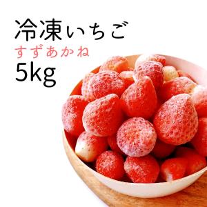 北海道千歳産 冷凍いちご （ヘタなし） すずあかね ５Ｋｇ