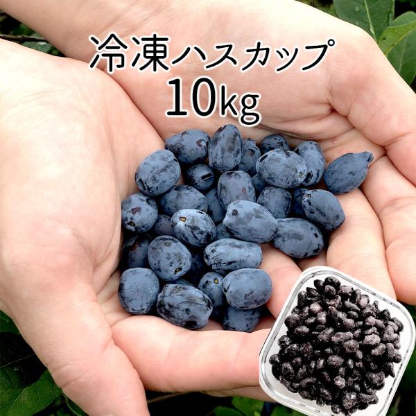 【送料込】北海道千歳産 冷凍ハスカップ １０Ｋｇ 冷凍フルーツ 業務用 製菓向け お菓子作り スーパ...