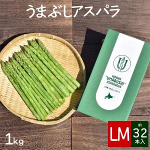 グリーンアスパラ 北海道産 極太 2Lサイズ 500g (アスパラガス本数の