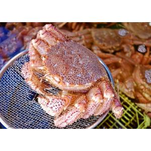 北海道特産品販売 活毛ガニ 調理用の塩 茹で方のレシピ付き 蟹 Yahoo ショッピング