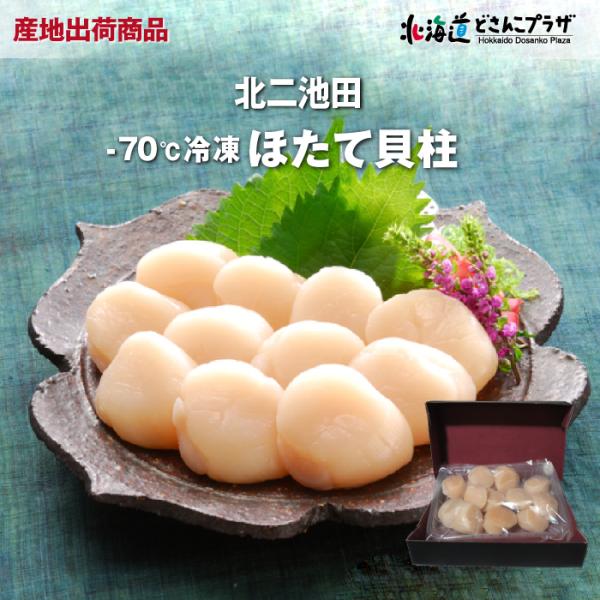 産地出荷「-70℃ 帆立貝柱　500ｇ」冷凍 送料込 父の日