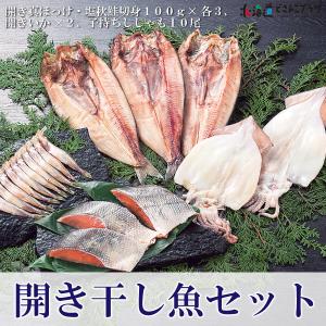 産地出荷「開き干魚セット」冷凍 送料込 道央